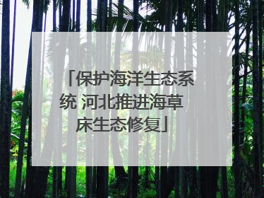 保护海洋生态系统 河北推进海草床生态修复