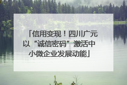 信用变现！四川广元以“诚信密码”激活中小微企业发展动能