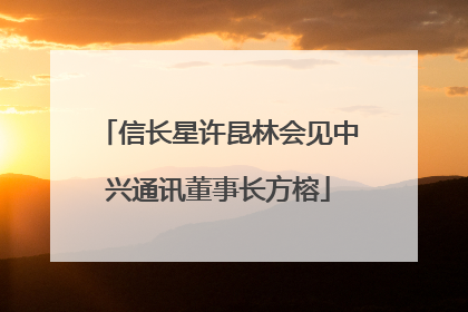 信长星许昆林会见中兴通讯董事长方榕