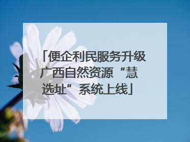 便企利民服务升级 广西自然资源“慧选址”系统上线