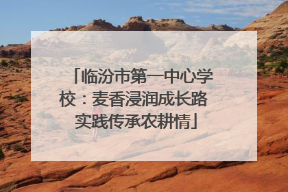 临汾市第一中心学校：麦香浸润成长路 实践传承农耕情
