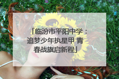 临汾市平阳中学：追梦少年执星甲 青春战旗启新程
