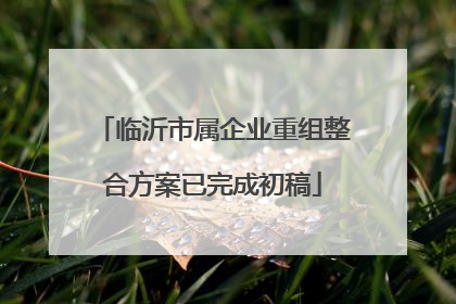 临沂市属企业重组整合方案已完成初稿