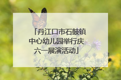 丹江口市石鼓镇中心幼儿园举行庆六一展演活动