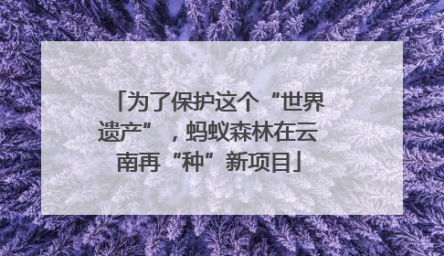 为了保护这个“世界遗产”，蚂蚁森林在云南再“种”新项目