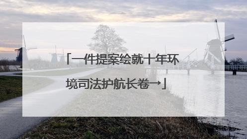 一件提案绘就十年环境司法护航长卷→