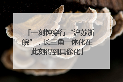一刻钟穿行“沪苏浙皖”，长三角一体化在此刻得到具像化