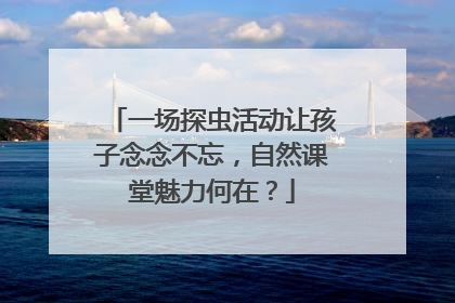 一场探虫活动让孩子念念不忘，自然课堂魅力何在？