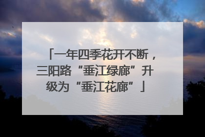 一年四季花开不断，三阳路“垂江绿廊”升级为“垂江花廊”