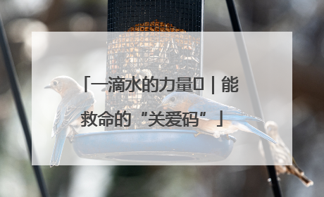 一滴水的力量㉖｜能救命的“关爱码”