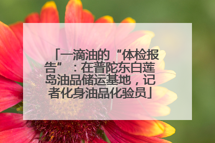 一滴油的“体检报告”：在普陀东白莲岛油品储运基地，记者化身油品化验员