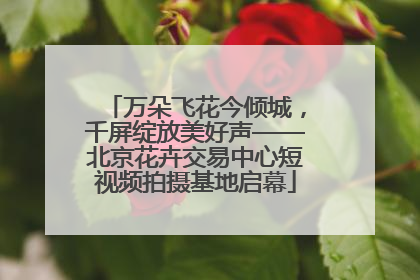万朵飞花今倾城，千屏绽放美好声——北京花卉交易中心短视频拍摄基地启幕