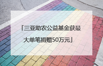 三亚助农公益基金获最大单笔捐赠50万元