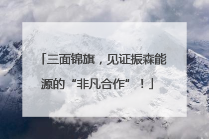 三面锦旗，见证振森能源的“非凡合作”！