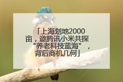 上海划地2000亩，邀腾讯小米共探“养老科技蓝海”，背后商机几何