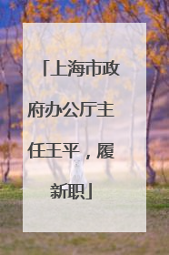 上海市政府办公厅主任王平，履新职