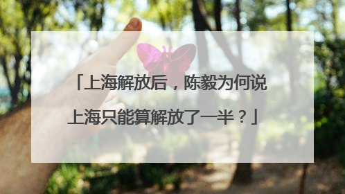 上海解放后，陈毅为何说上海只能算解放了一半？