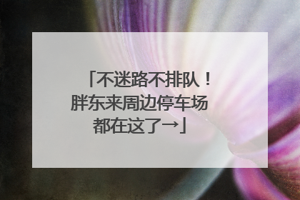不迷路不排队！胖东来周边停车场都在这了→