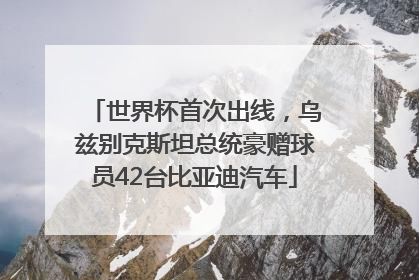 世界杯首次出线，乌兹别克斯坦总统豪赠球员42台比亚迪汽车