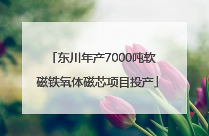 东川年产7000吨软磁铁氧体磁芯项目投产