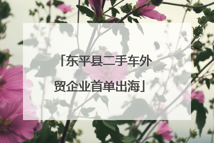 东平县二手车外贸企业首单出海