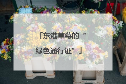 东港草莓的“绿色通行证”