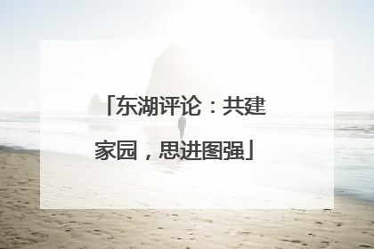 东湖评论：共建家园，思进图强
