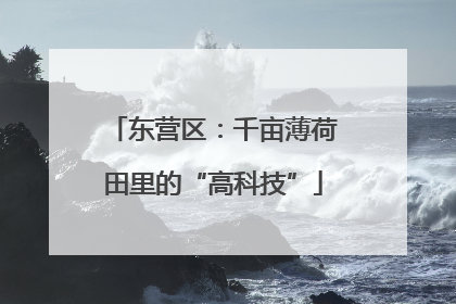 东营区：千亩薄荷田里的“高科技”
