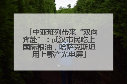 中亚班列带来“双向奔赴”：武汉市民吃上国际粮油，哈萨克斯坦用上鄂产光电屏