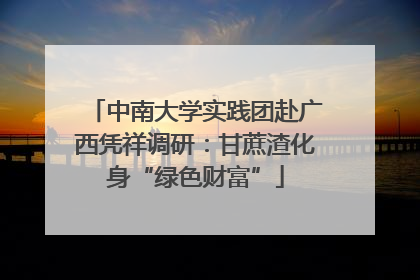 中南大学实践团赴广西凭祥调研：甘蔗渣化身“绿色财富”