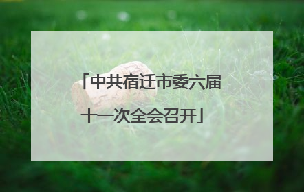 中共宿迁市委六届十一次全会召开