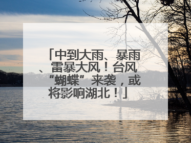中到大雨、暴雨、雷暴大风！台风“蝴蝶”来袭，或将影响湖北！