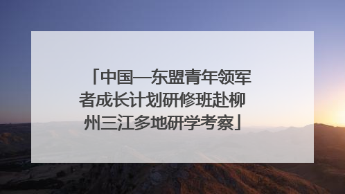 中国—东盟青年领军者成长计划研修班赴柳州三江多地研学考察