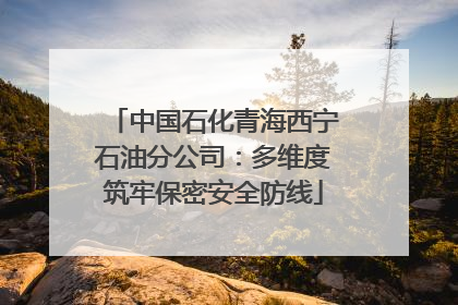 中国石化青海西宁石油分公司：多维度筑牢保密安全防线