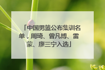 中国男篮公布集训名单，周琦、曾凡博、雷蒙、廖三宁入选