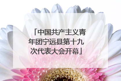 中国共产主义青年团宁远县第十九次代表大会开幕