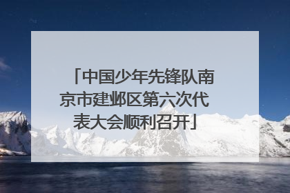 中国少年先锋队南京市建邺区第六次代表大会顺利召开