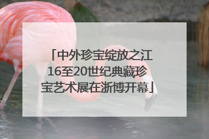 中外珍宝绽放之江 16至20世纪典藏珍宝艺术展在浙博开幕