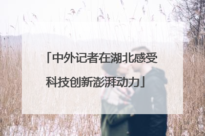 中外记者在湖北感受科技创新澎湃动力
