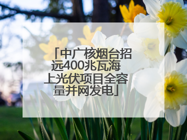 中广核烟台招远400兆瓦海上光伏项目全容量并网发电