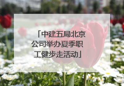 中建五局北京公司举办夏季职工健步走活动