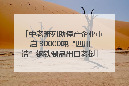 中老班列助停产企业重启 30000吨“四川造”钢铁制品出口老挝