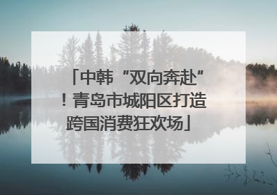 中韩“双向奔赴”！青岛市城阳区打造跨国消费狂欢场