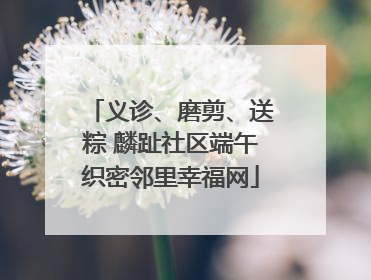义诊、磨剪、送粽 麟趾社区端午织密邻里幸福网