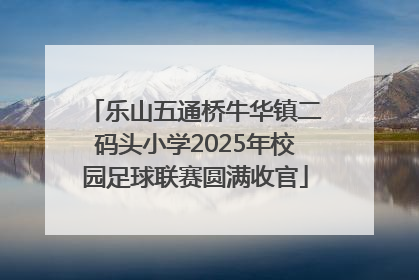 乐山五通桥牛华镇二码头小学2025年校园足球联赛圆满收官