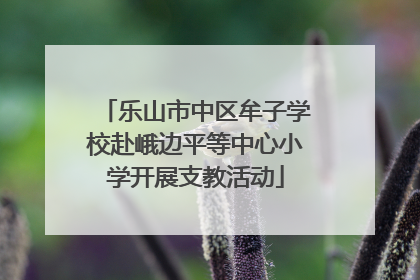 乐山市中区牟子学校赴峨边平等中心小学开展支教活动