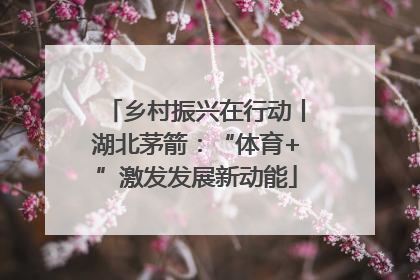 乡村振兴在行动丨湖北茅箭：“体育+”激发发展新动能