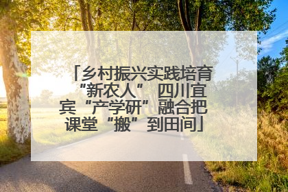 乡村振兴实践培育“新农人” 四川宜宾“产学研”融合把课堂“搬”到田间