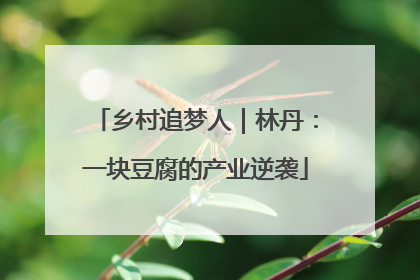 乡村追梦人｜林丹：一块豆腐的产业逆袭