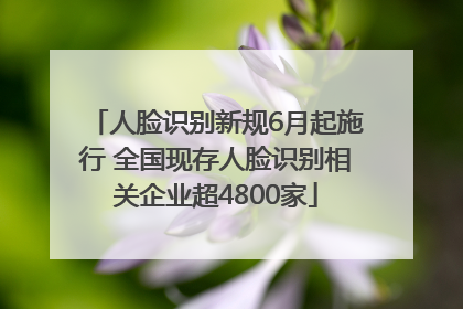 人脸识别新规6月起施行 全国现存人脸识别相关企业超4800家